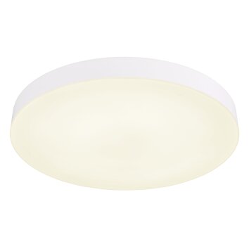 Matthew Plafonnier Luminaires Globo Lighting LED Blanc, 1 lumière