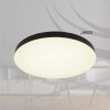 Matthew Plafonnier Luminaires Globo Lighting LED Noir, Blanc, 1 lumière