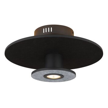 Carter Plafonnier Luminaires Globo Lighting LED Noir, 1 lumière