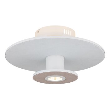 Carter Plafonnier Luminaires Globo Lighting LED Blanc, 1 lumière