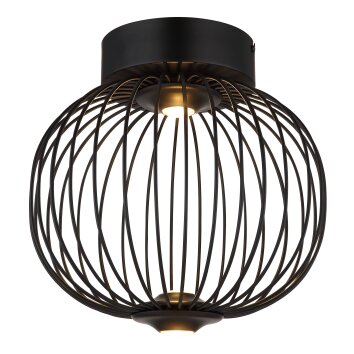 Galway Plafonnier Luminaires Globo Lighting LED Noir, 1 lumière