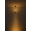 Alvarado Suspension Luminaires Globo Lighting LED Noir, 1 lumière