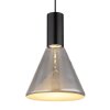 Labora Suspension Luminaires Globo Lighting LED Noir, 1 lumière