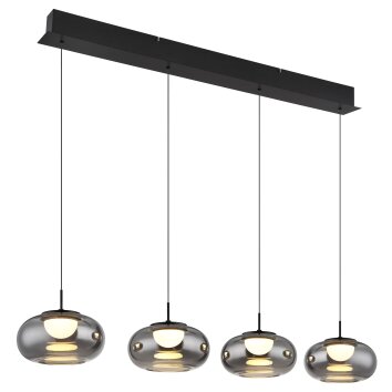 Quintara Suspension Luminaires Globo Lighting LED Noir, 1 lumière