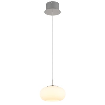 Quintara Suspension Luminaires Globo Lighting LED Nickel mat, 1 lumière