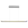 Muriella Suspension Luminaires Globo Lighting LED Clair, 1 lumière