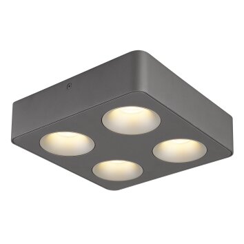 Hangarau Plafonnier Luminaires Globo Lighting LED Gris, 1 lumière