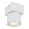 Rae Plafonnier Luminaires Globo Lighting LED Blanc, 1 lumière