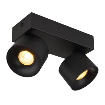 Rae Plafonnier Luminaires Globo Lighting LED Noir, 2 lumières