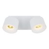 Rae Plafonnier Luminaires Globo Lighting LED Blanc, 2 lumières