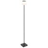 Gregoir Lampadaire Luminaires Globo Lighting LED Noir, 1 lumière