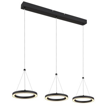 Grenvix Suspension Luminaires Globo Lighting LED Noir, 1 lumière