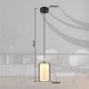 Lampigna Suspension Luminaires Globo Lighting LED Laiton, Noir, 1 lumière