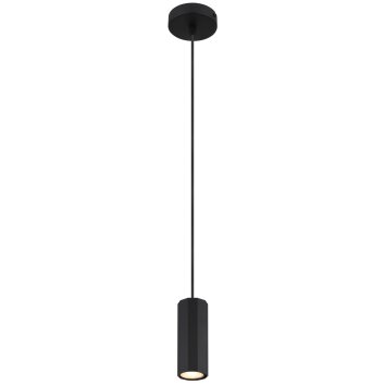 James Suspension Luminaires Globo Lighting Noir, 1 lumière