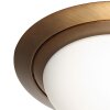 Ikaro Plafonnier Luminaires Steinhauer LED Bronze, 1 lumière