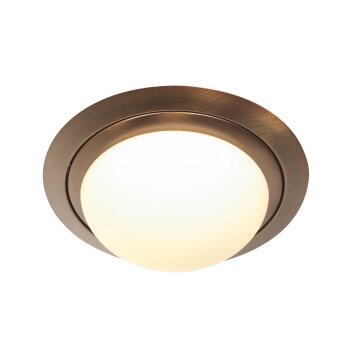 Ikaro Plafonnier Luminaires Steinhauer LED Bronze, 1 lumière