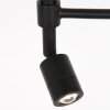 Stang Lampadaire Luminaires Steinhauer Noir, 1 lumière