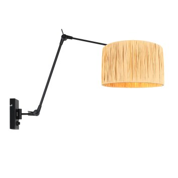 Chic Applique murale Luminaires Steinhauer Noir, 1 lumière