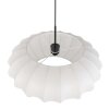 Light Suspension Luminaires Steinhauer Noir, 1 lumière