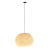 Grass Suspension Luminaires Steinhauer Noir, 1 lumière