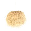 Grass Suspension Luminaires Steinhauer Noir, 1 lumière