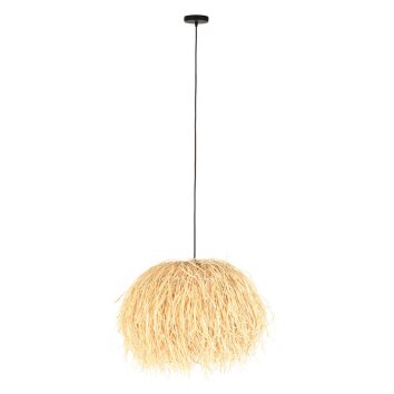 Grass Suspension Luminaires Steinhauer Noir, 1 lumière