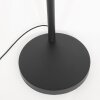 Light Lampadaire Luminaires Steinhauer Noir, 3 lumières