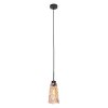 Vidrio Suspension Luminaires Steinhauer Noir, 1 lumière