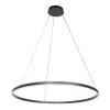 Ringlux Suspension Luminaires Steinhauer LED Noir, 2 lumières