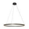 Ringlux Suspension Luminaires Steinhauer LED Noir, 2 lumières