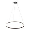 Ringlux Suspension Luminaires Steinhauer LED Noir, 2 lumières