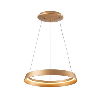 Ringlux Suspension Luminaires Steinhauer LED Or, 1 lumière