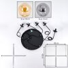 Gastor Suspension, Boule lumineuse, Suspension Ambre, Fumé, 5 lumières