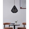 DOLWEN Suspension Luminaires Eglo Noir, 1 lumière