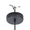 DOLWEN Suspension Luminaires Eglo Noir, 1 lumière