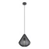 DOLWEN Suspension Luminaires Eglo Noir, 1 lumière