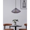 DOLWEN Suspension Luminaires Eglo Noir, 1 lumière