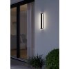 NEVIANO Lampe murale d´extérieur Luminaires Eglo LED Noir, 2 lumières