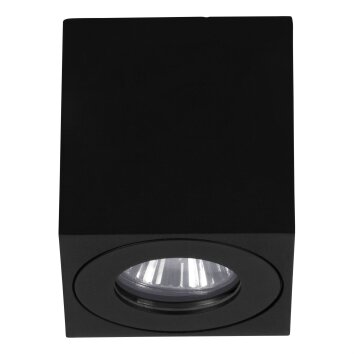 TORRECOLA Luminaire extérieur Luminaires Eglo Noir, 1 lumière