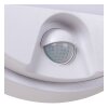 IR Lampe murale d´extérieur Luminaires Lucide LED Blanc, 1 lumière, Détecteur de mouvement