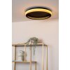 ESTREJA Plafonnier Luminaires Lucide LED Noir, 1 lumière