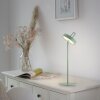 AMAG Lampe à poser Luminaires Leuchten Direkt LED Vert, 1 lumière