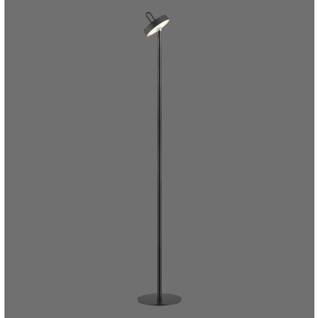 AMAG Lampadaire Luminaires Leuchten Direkt LED Noir, 1 lumière