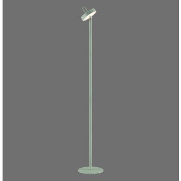 AMAG Lampadaire Luminaires Leuchten Direkt LED Vert, 1 lumière