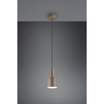 Agudo Suspension Luminaires Trio Brun, 1 lumière