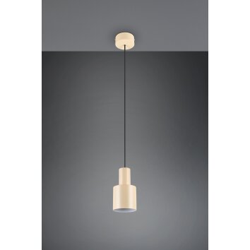 Agudo Suspension Luminaires Trio Beige, 1 lumière