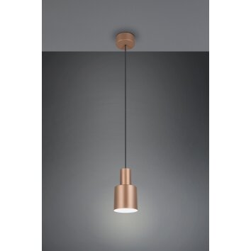 Agudo Suspension Luminaires Trio Brun, 1 lumière