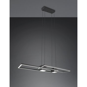 ALBANY Suspension Luminaires Trio LED Noir, 1 lumière, Télécommandes