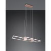 ALBANY Suspension Luminaires Trio LED Brun, 1 lumière, Télécommandes