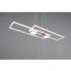 ALBANY Suspension Luminaires Trio LED Brun, 1 lumière, Télécommandes